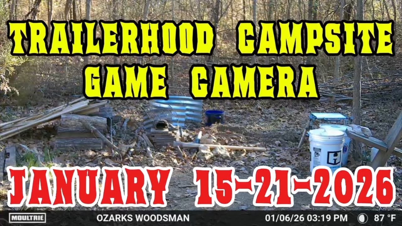 🇺🇸🇺🇸 WEEKLY GAME CAMERA 🇺🇸🇺🇸