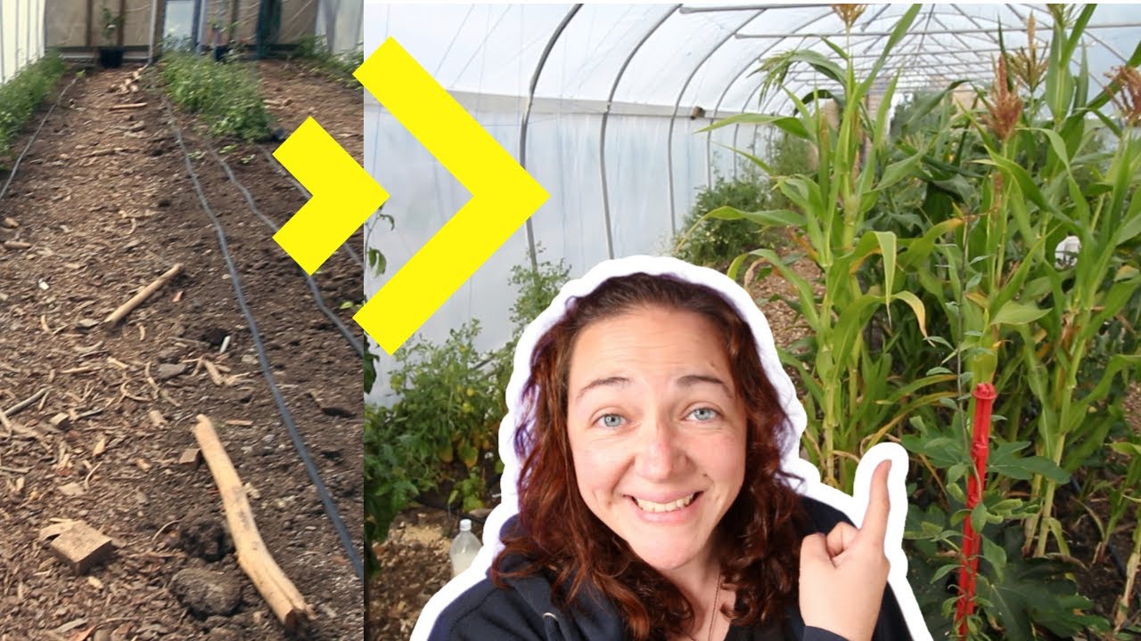 Look how much it changed! Garden tour Jan 2023