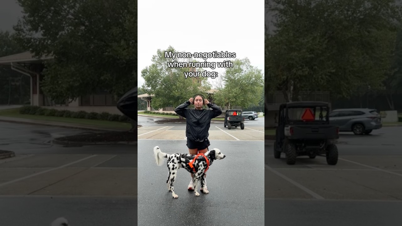 Don&rsquo;t make these mistakes when running with a dog! #dog #canicross