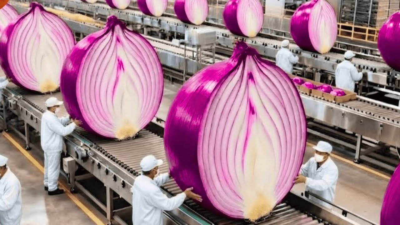 Inside the Onion Factory: From Fresh Harvested Bulbs to Peeled & Chopped Onions (Full Process 4K)