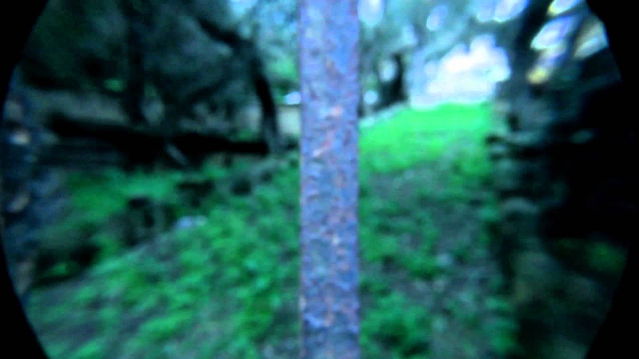 Stolen Creep - Wolves (Official Video)