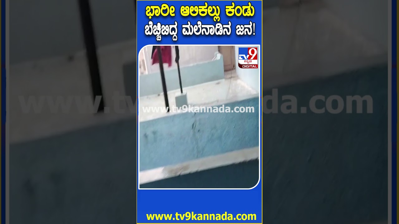 Shivamogga Rain: ಆಲಿಕಲ್ಲು ಸಹಿತ ಧಾರಾಕಾರ ಮಳೆಗೆ ಬೆಚ್ಚಿಬಿದ್ದ ಮಲೆನಾಡಿನ ಜನ | #TV9D