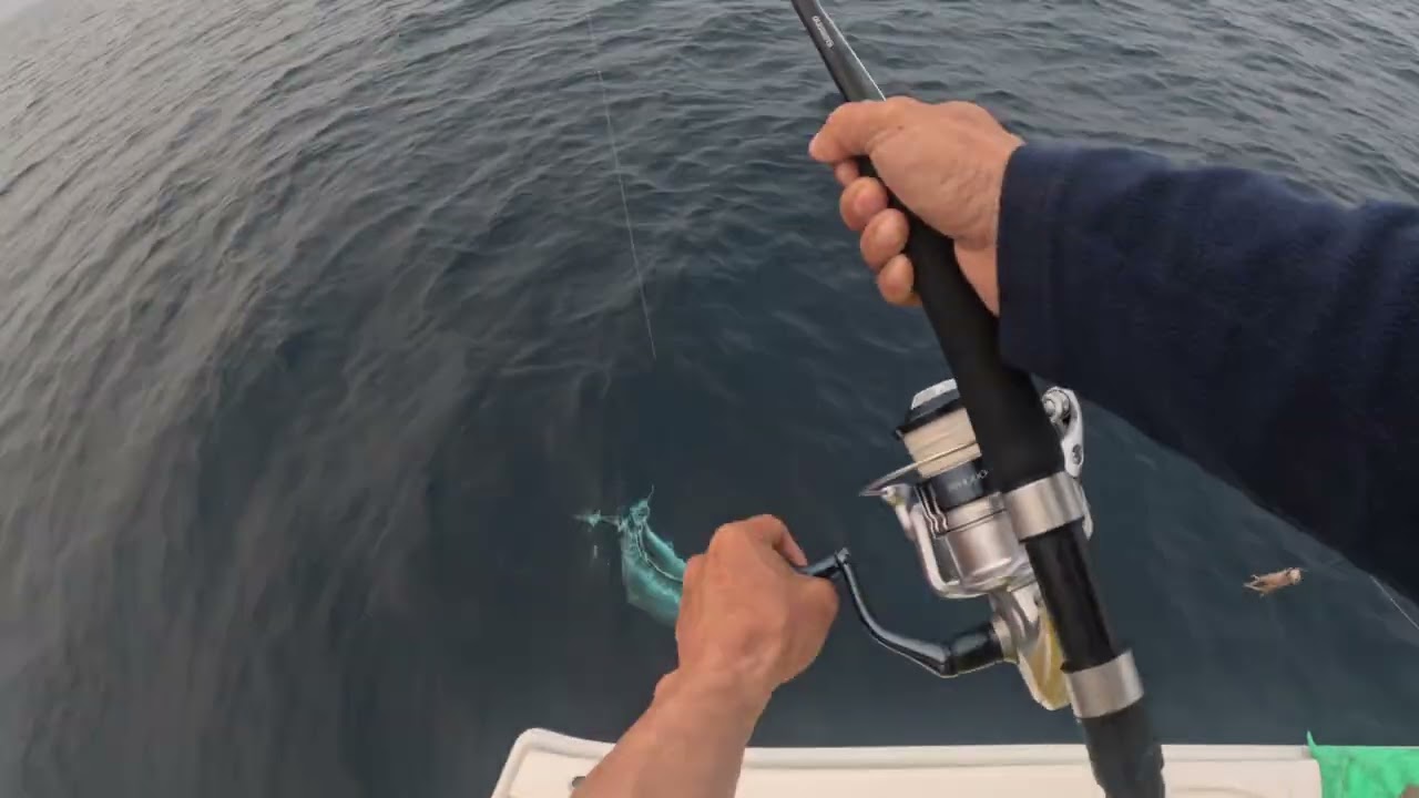 How to fight a BIG fish. #fishing #angler #fishinglife 