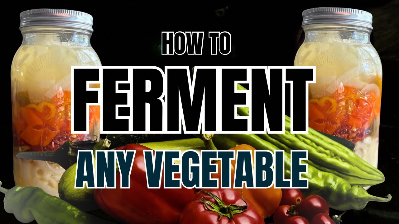 How to Ferment Any Vegetable, Easy Lacto Fermentation Guide for Beginners, Preserving With Salt, 