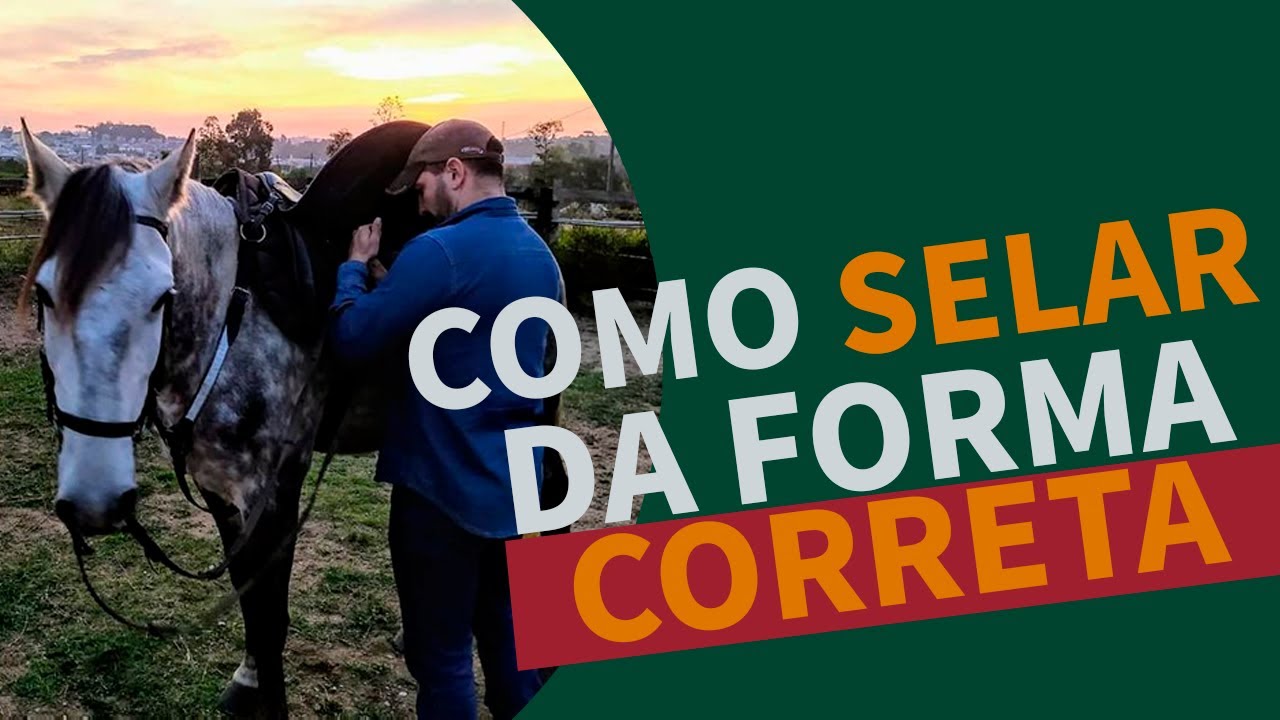 Como Selar ou Encilhar CORRETAMENTE o meu Cavalo
