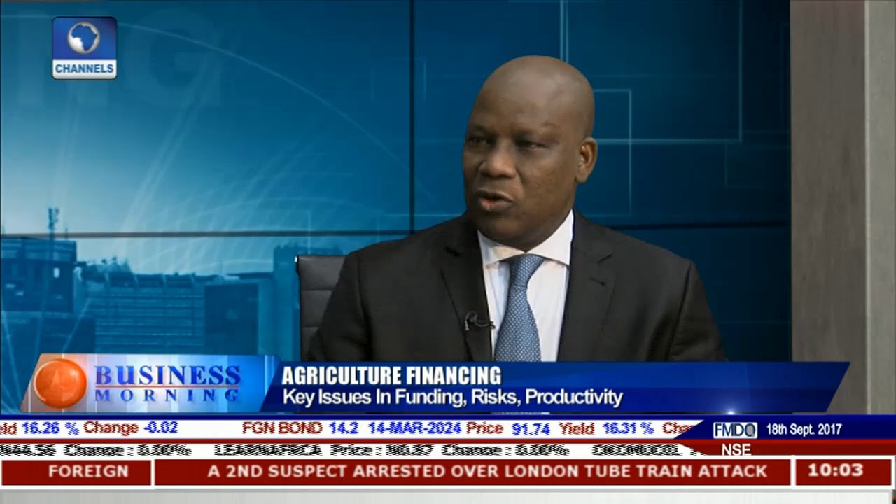 Key Issues In Agricultural Financing, Risks, Productivity Pt.1 |Business Morning|