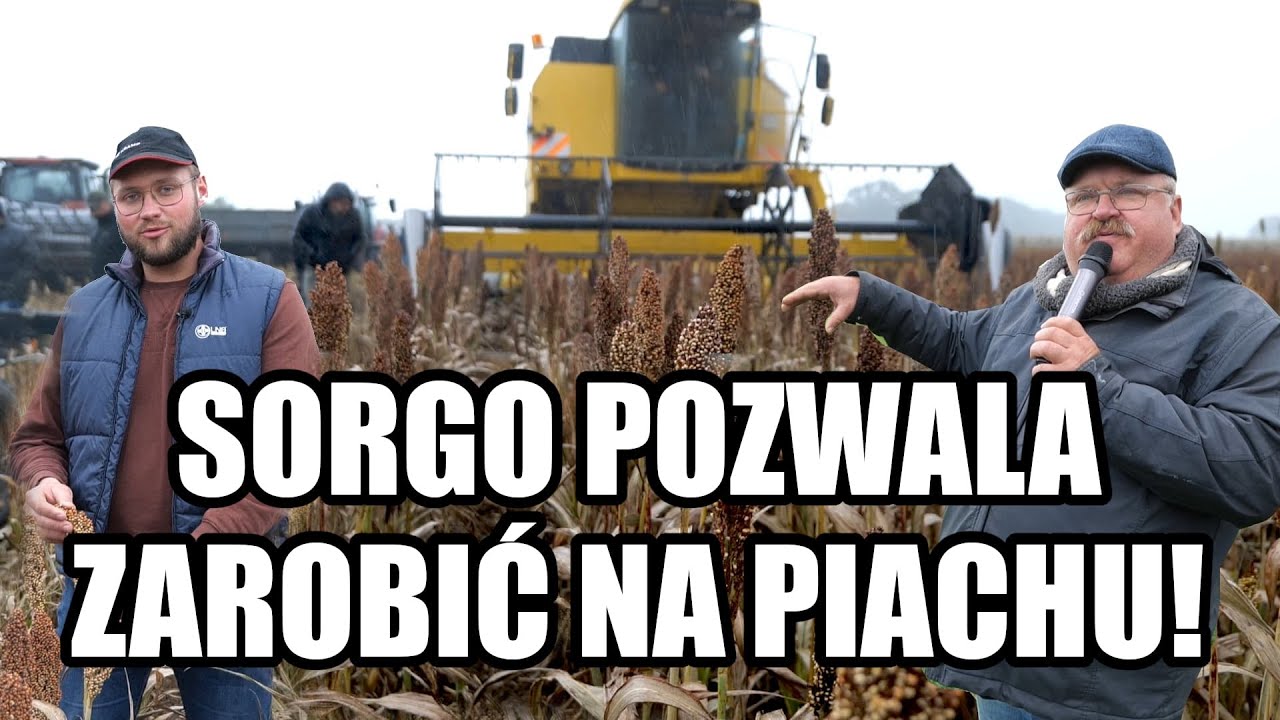 Jak gospodarować i zarabiać na słabych glebach? Pomoże sorgo i międzyplony! Warsztaty Agro Profil