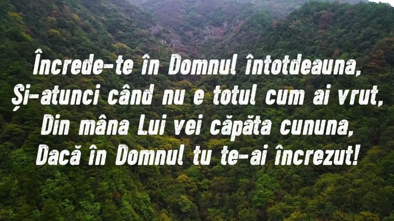 Ligia Crisan - Cand crezi ca nu mai ai pe nimeni (cover)