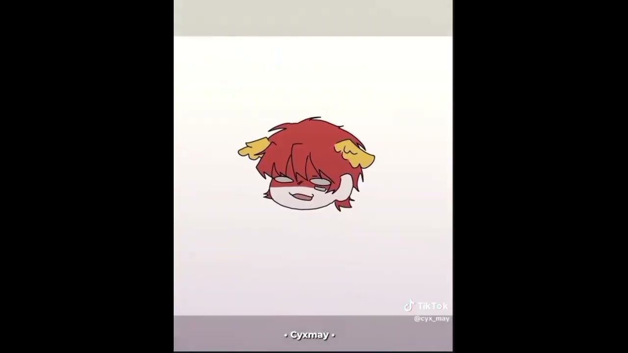 ✿~Part 4/End Countryhumans (Video tiktok)#fyp~✿