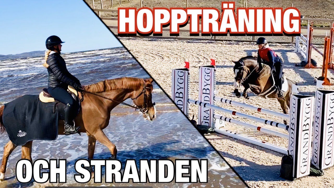 FÖRSTA UTETRÄNINGEN & MYSIGT DAG PÅ STRANDEN