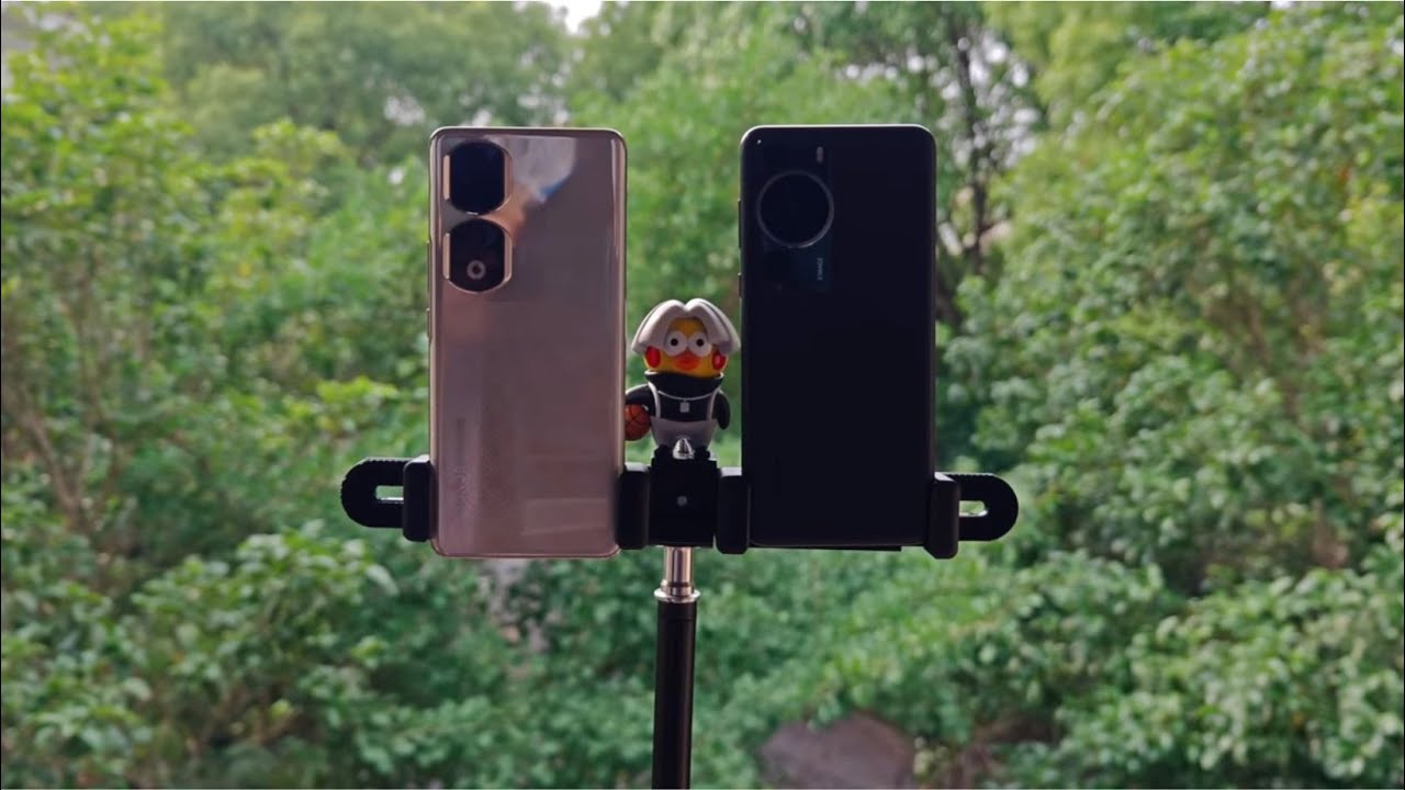 Honor 90 Pro vs Huawei P60 Pro-Camera Comparison -Zoom Test