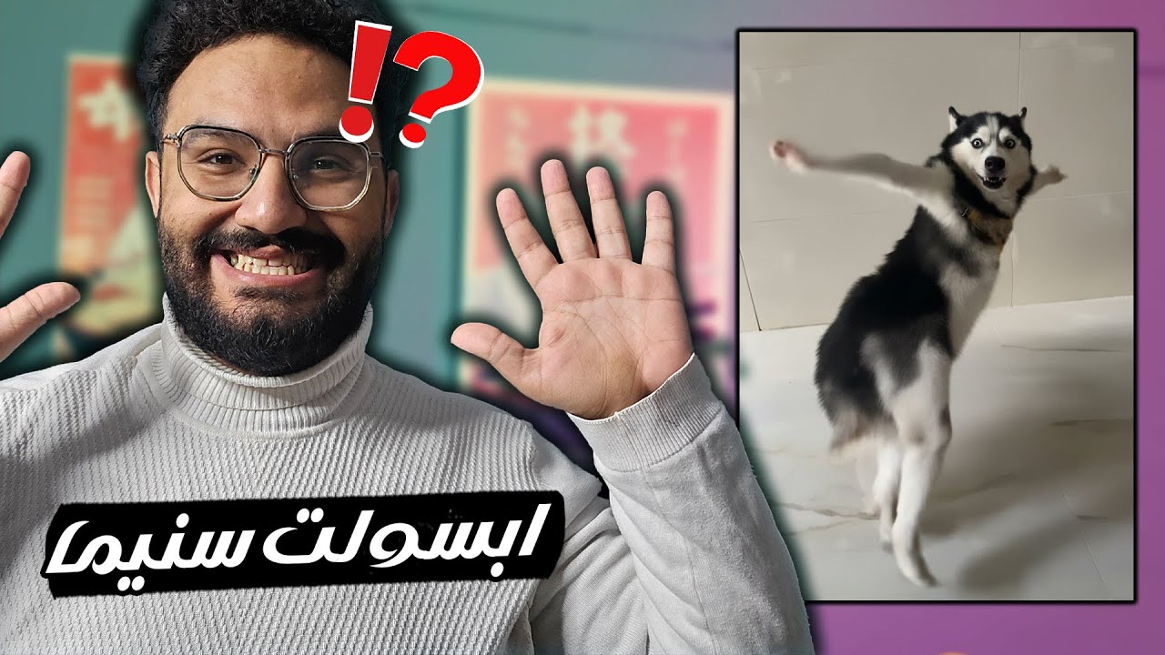 الكلب الذي انقذ 2025 من الكرنج 😂 ميمزززززز