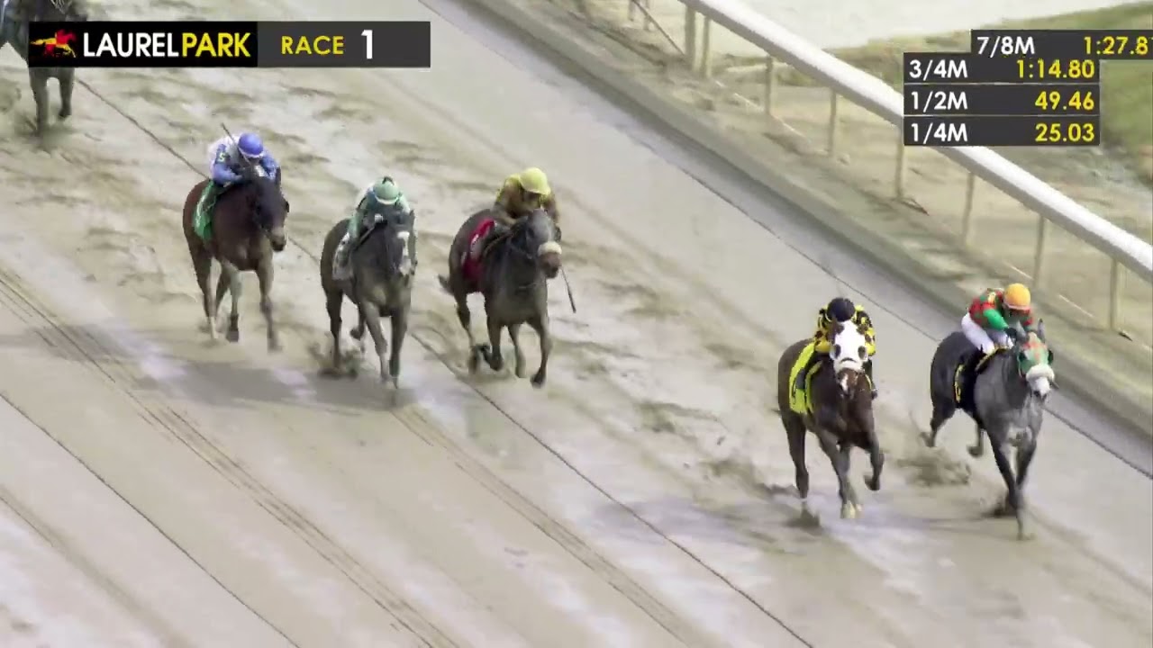LAUREL PARK 2026-02-21 PL#01_RACE 1