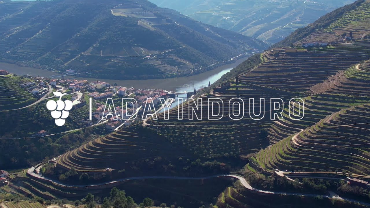 From Porto: Tastings at 2 Wineries, Chef's Lunch & Boat Tour | aDayinDouro