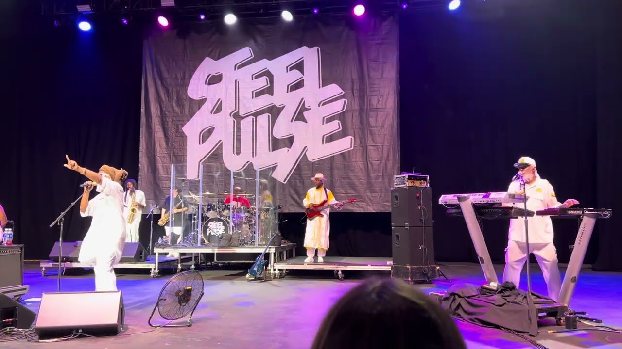 Steel Pulse - Your House (live)