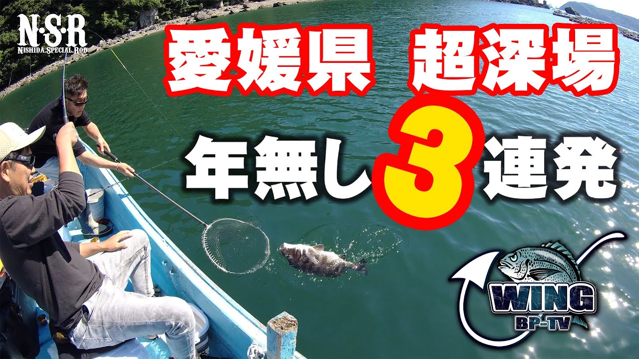 愛媛の超深場でチヌ年無し3連発！