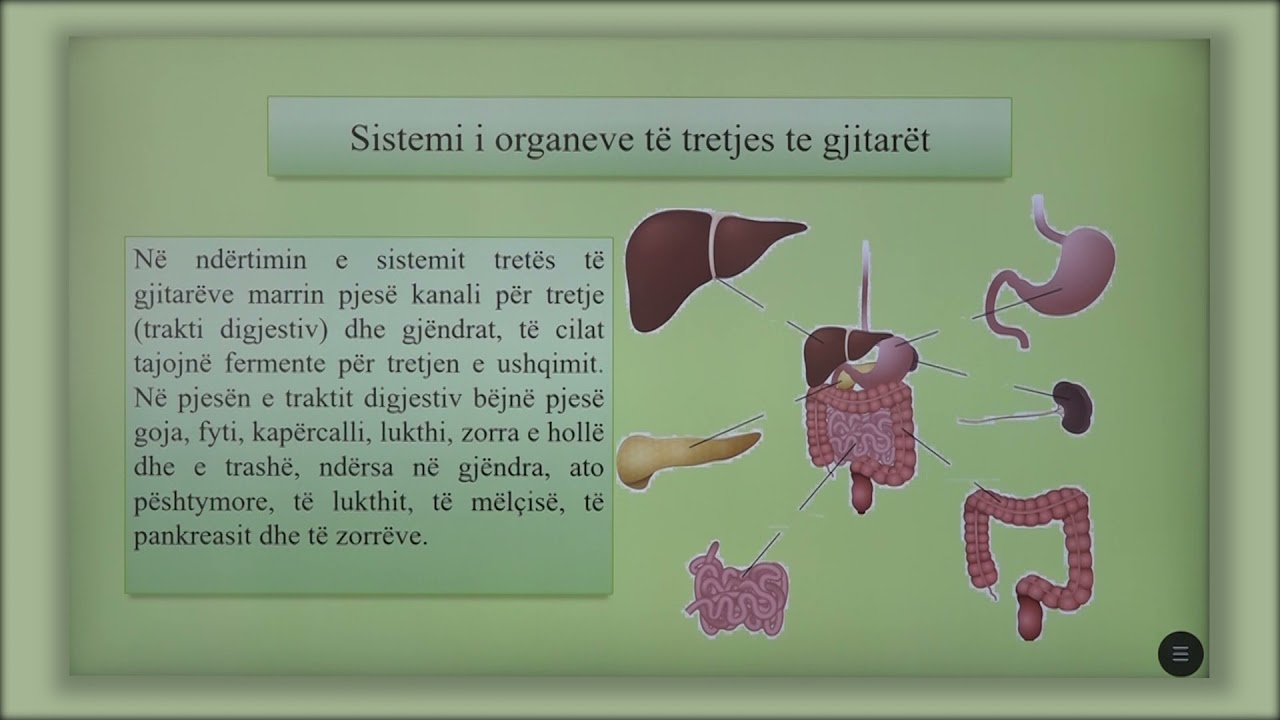 8 06 021 - Java e njëmbëdhjetë - Biologji - sistemi i organeve të tretjes