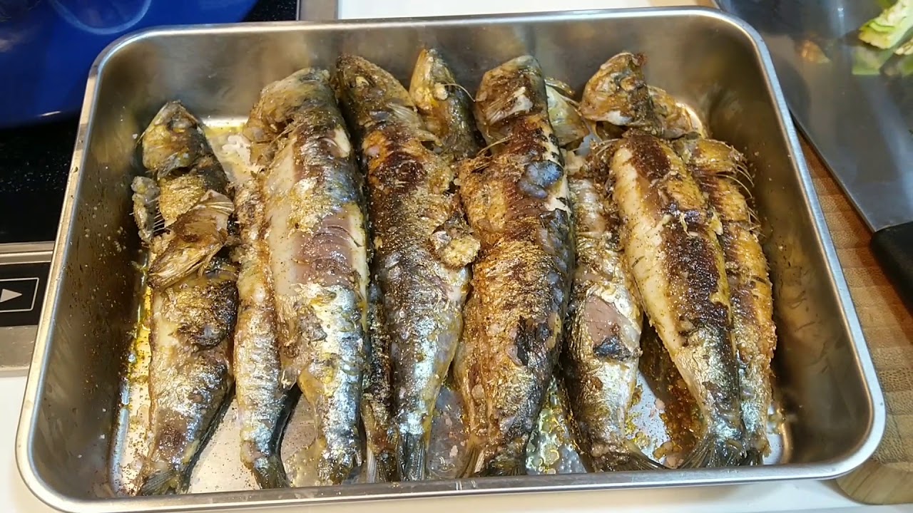 【點樣煮茄汁沙甸魚】 How to cook sardines in tomato sauce | 鑄鐵鍋【中文字幕】【廣東話】