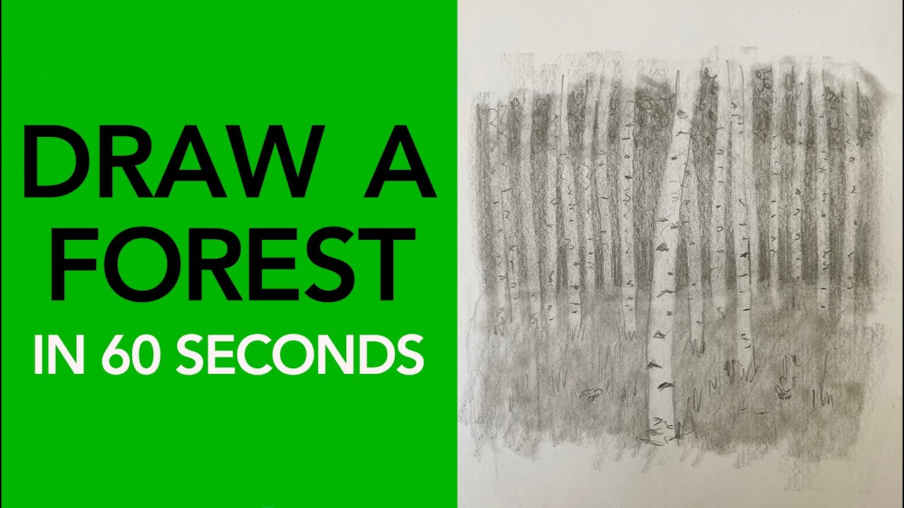 Learn to draw a forest! 🌲🌳🌲🌳🌲 | Drawing Tutorial #shorts