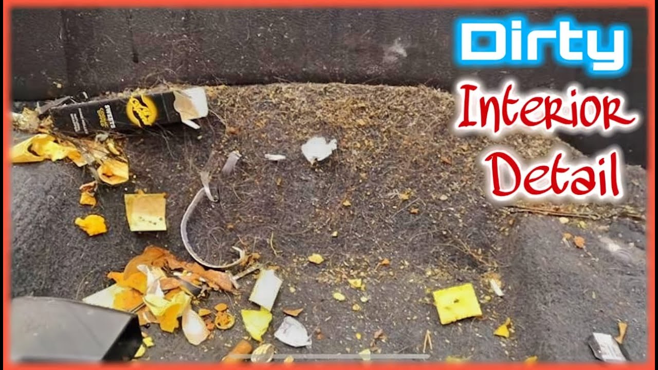 DIRTY INTERIOR DETAIL | PT 1 | WE'RE BACK!!