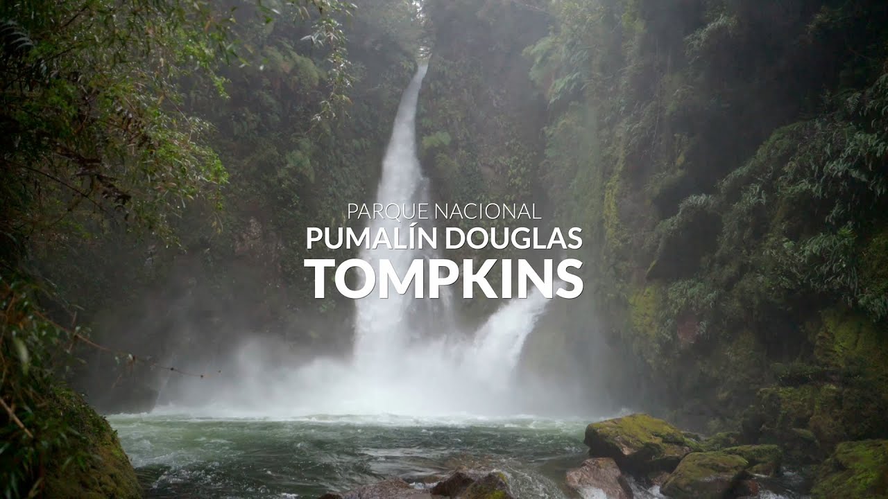 Parque Nacional Pumalin Douglas Tompkins | Ruta de los Parques de la Patagonia