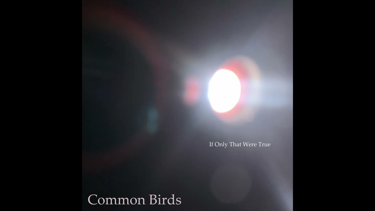 If Only That Were True (Official Single)