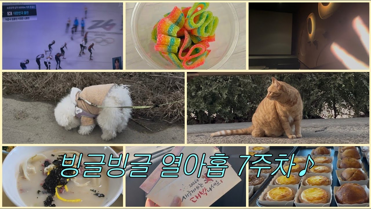 7. 설날을 보내며🌙