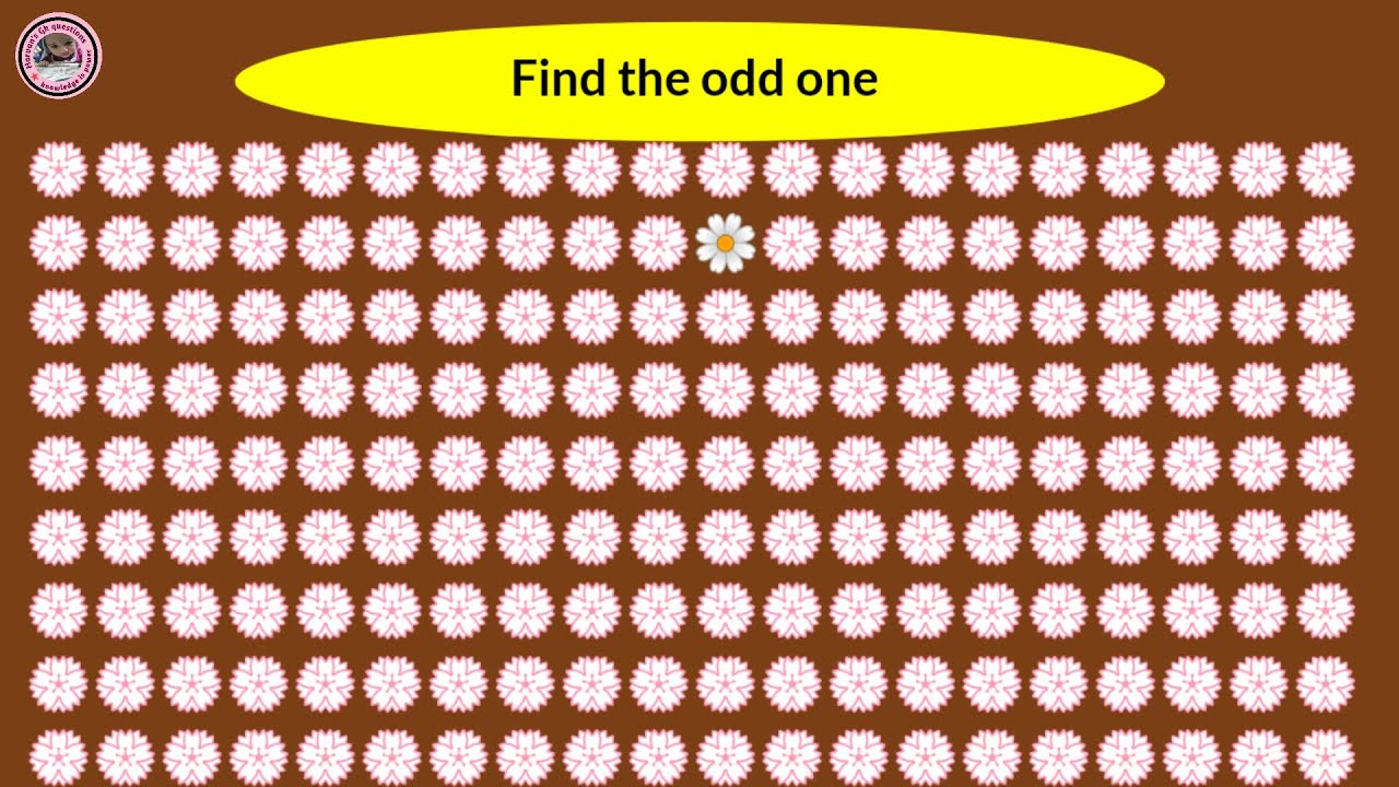 the odd one oCan you guessut/ 3 seconds challange/ Harvan's gk questions