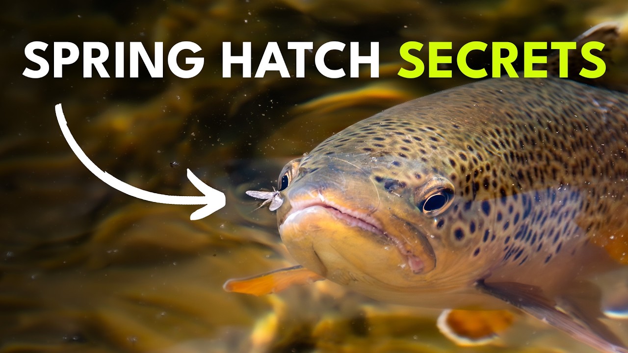 How To Prepare For Spring Fly Fishing | Ep. 168