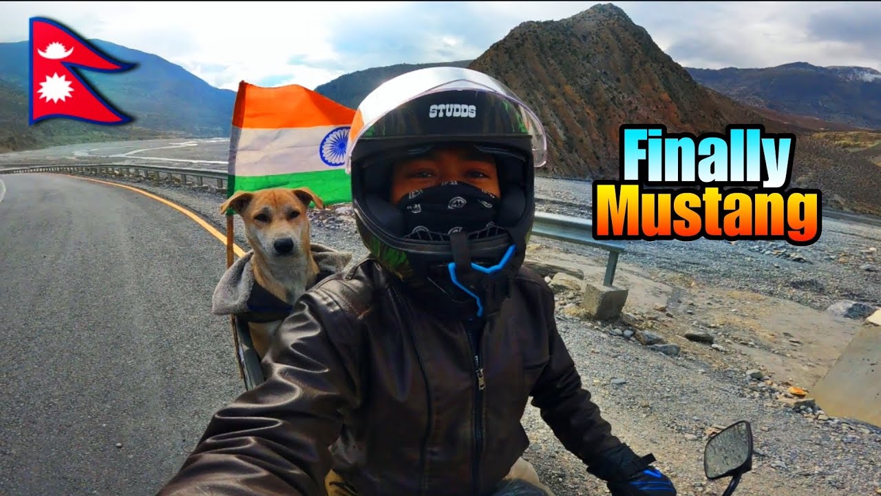 Finally reached Mustang Muktinath🇳🇵With Dog with mopped 😬