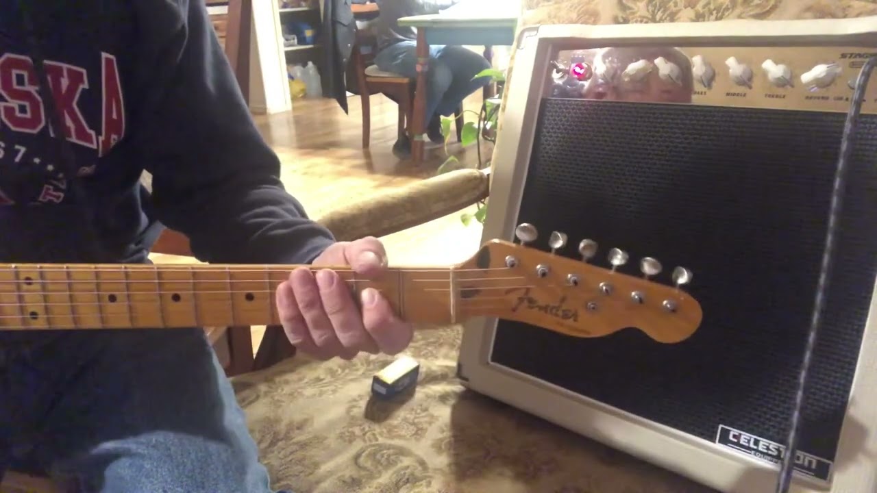 Stage Right Monoprice 15 Watt Amplifier with Telecaster - Bill Romansky*future Cannabis Rex speaker