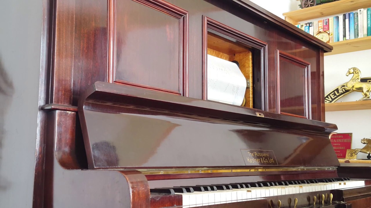 Kastner & Co Pianola - The Animaniacs
