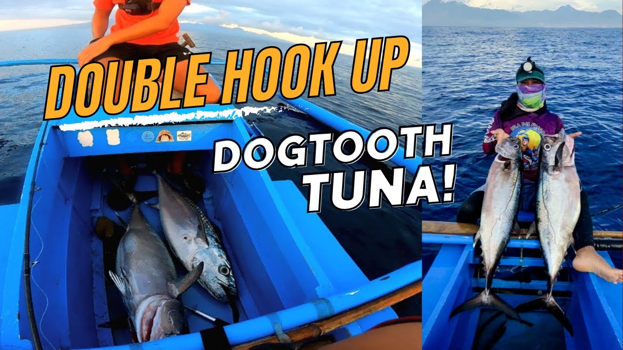 Back-to-Back DOGTOOTH TUNA | Slow Pitch Jigging  Siquijor 🔥🐟