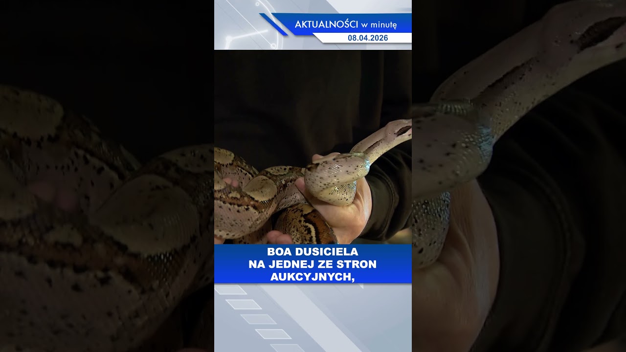 News in a Minute | April 8, 2026 #news