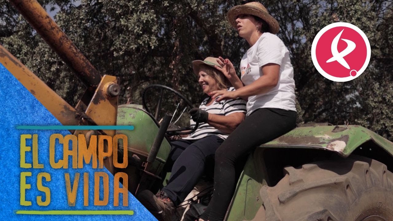 Chabeli enseña a su madre a conducir el tractor | El campo es vida