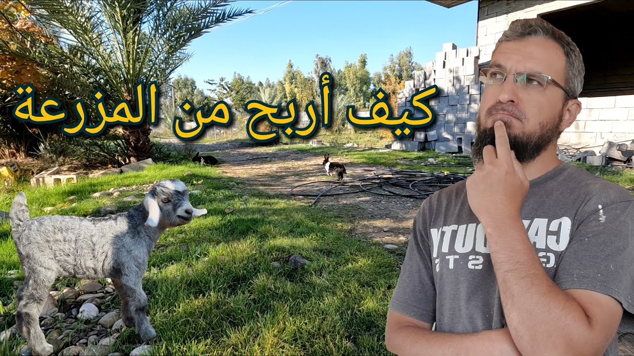 (117)كيفية إستغلال المزرعة بالمشاريع المربحة ، كيفية عمل الجبن من حليب الماعز ،  ما هو مصدر دخلي