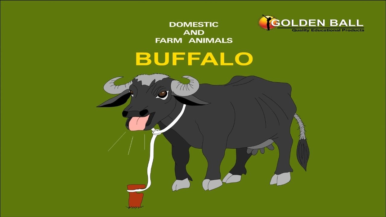 Kids Learning Videos - Domestic & Farm Animals Names with Sounds - Animals For Kids