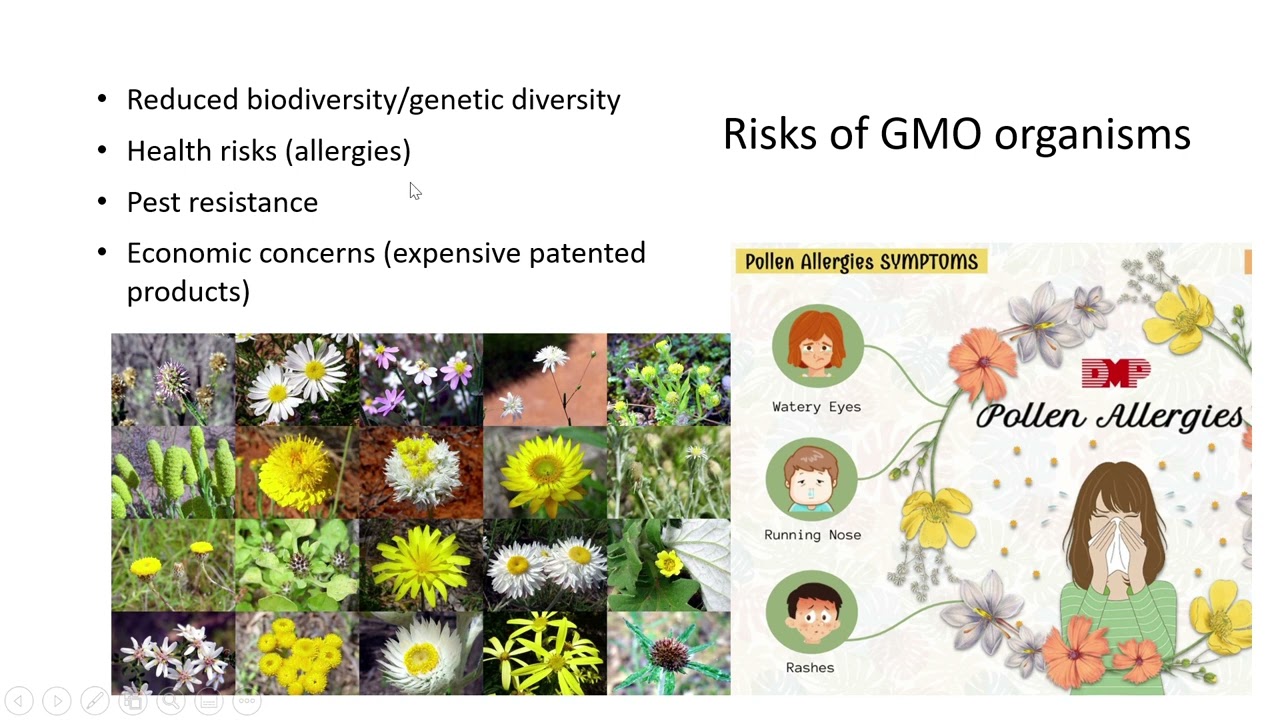 Animal genetics   Lesson 6