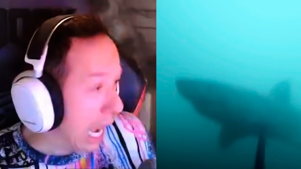 🔴 REACCIONANDO A VIDEOS DE TERROR 🔴  |  @KNekroGamer​