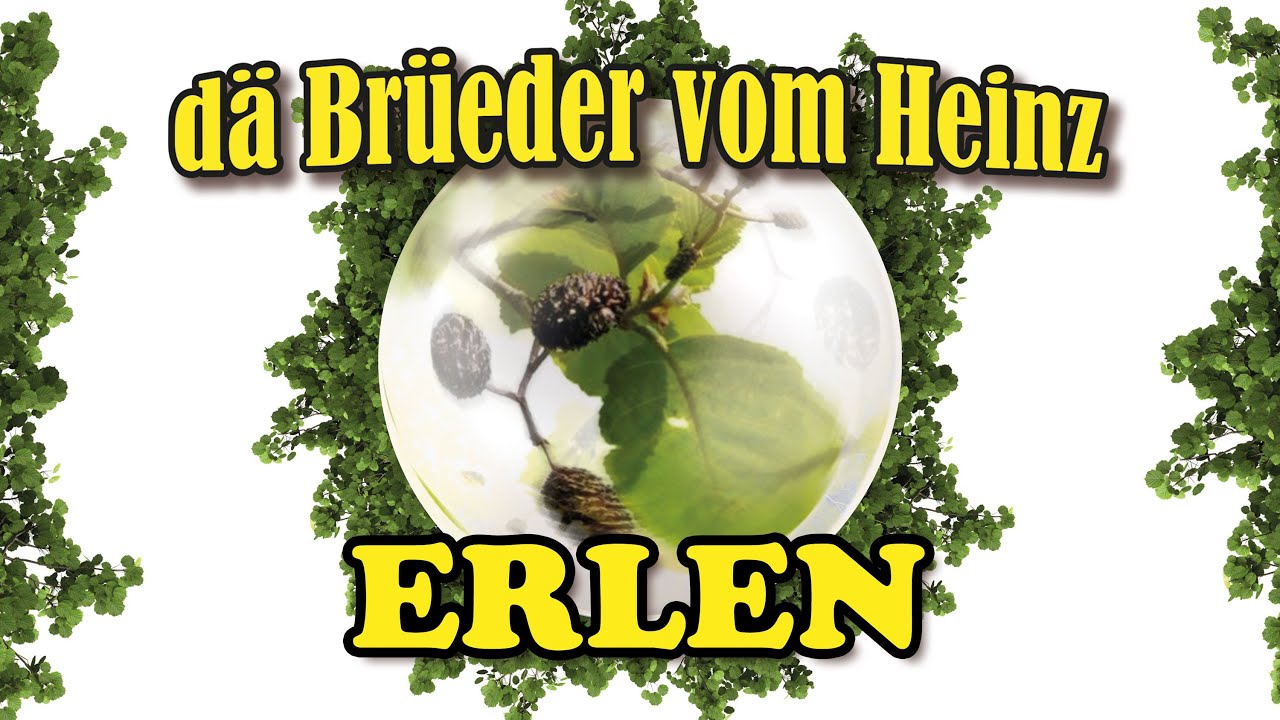 Dä Brüeder vom Heinz,   Erlen