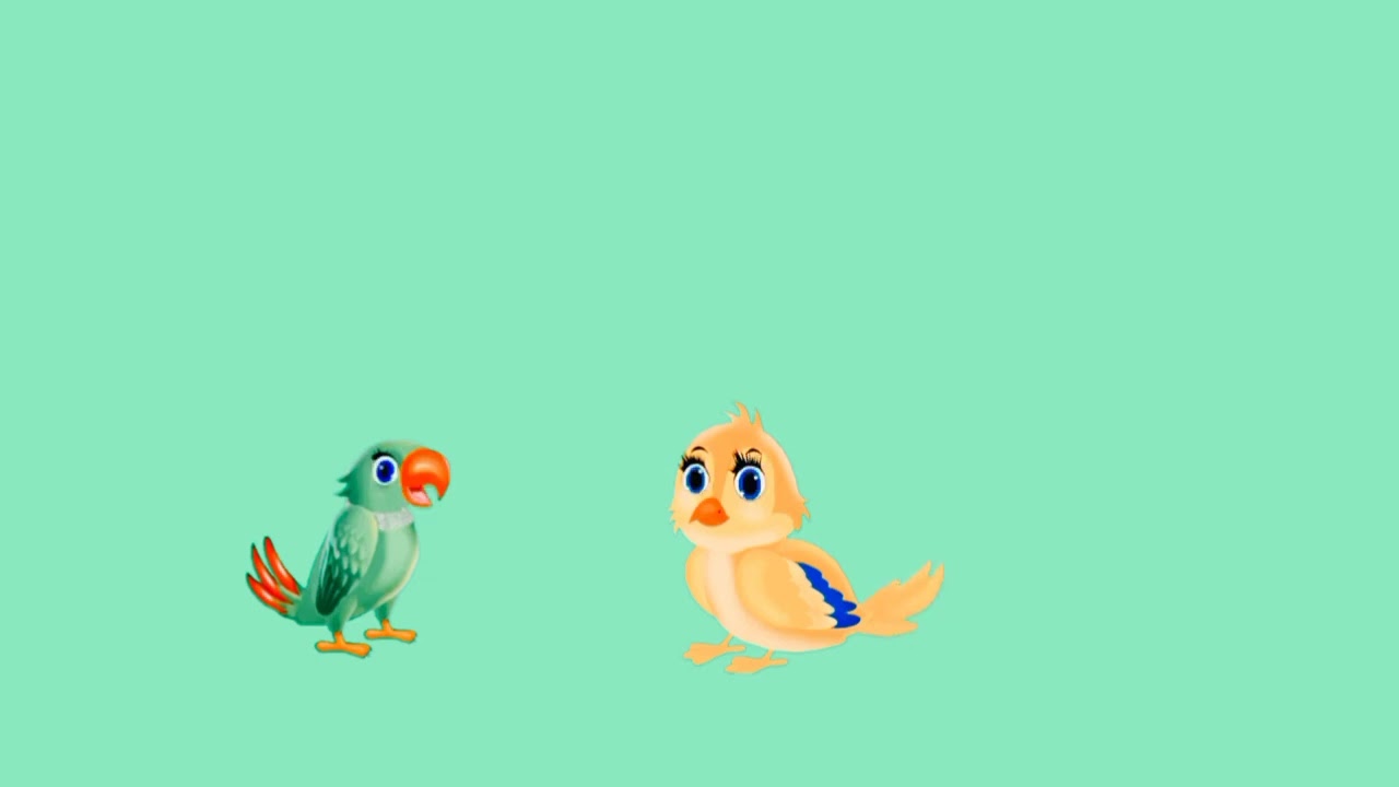 birds green screen l birds green screen free copyright ll Tahir Islamic official