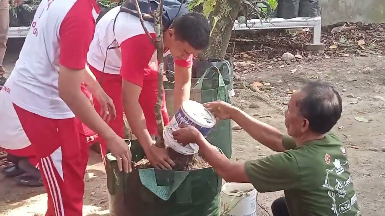 MENANAM BENIH BERSAMA SMA NEGERI 1 PONOROGO SEBAGAI TANAMAN KETAHANAN PANGAN