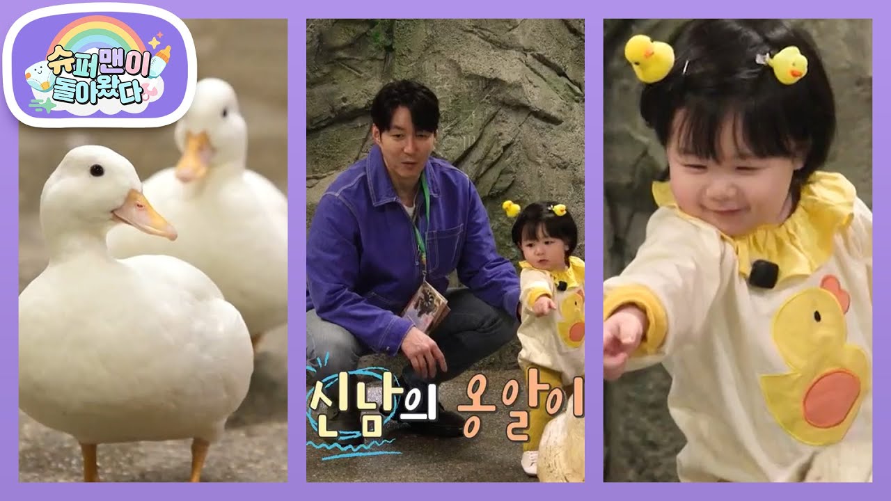 [심형탁네] 꽥꽥! 인간 오리로 변신~ 오리보다 더 귀여운 하루 오리 등장이요~ [슈퍼맨이 돌아왔다/The Return of Superman] | KBS 260408 방송