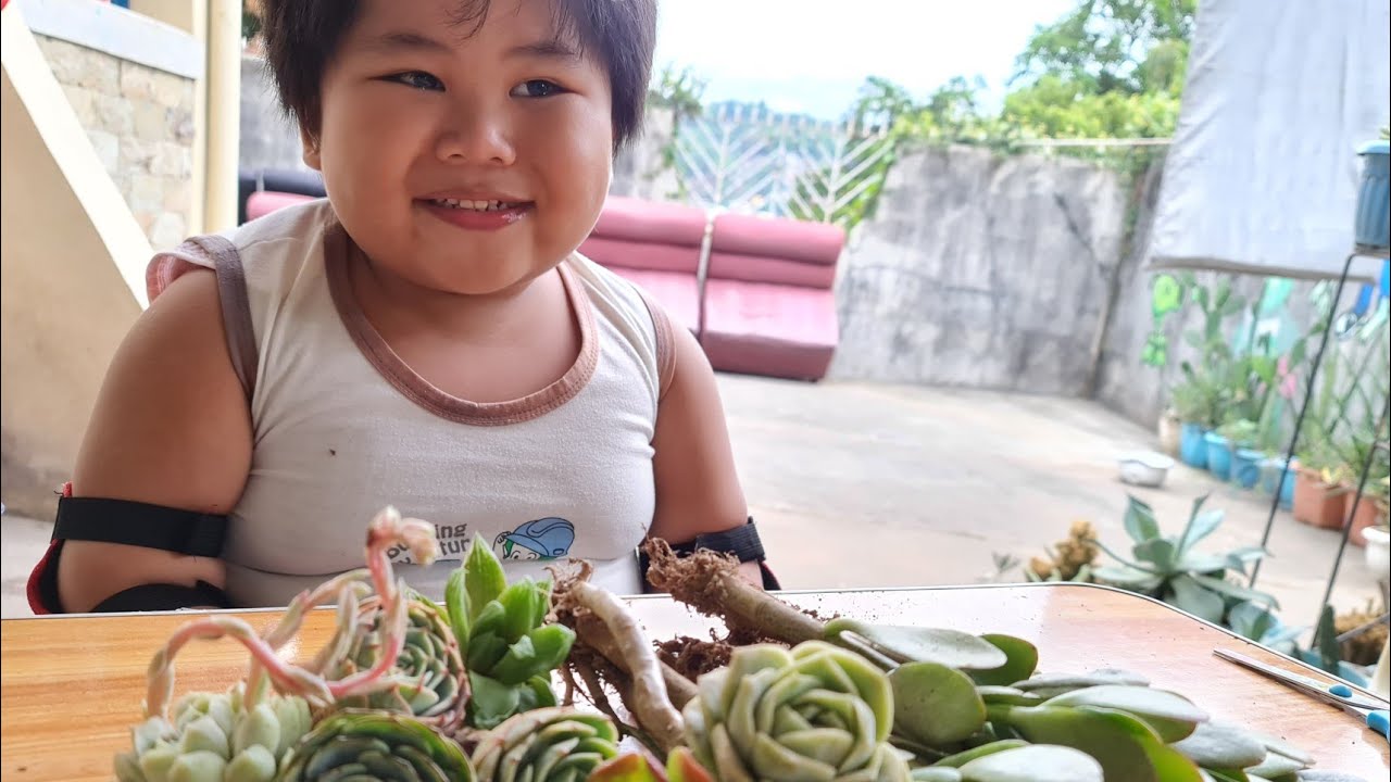 UNBOXING MYSTERY PLANT BOX, its me arch angelo #unboxing #mysterybox #plants