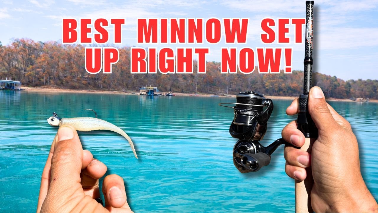 Catch More Fish: Jighead Minnow Tips That Work!