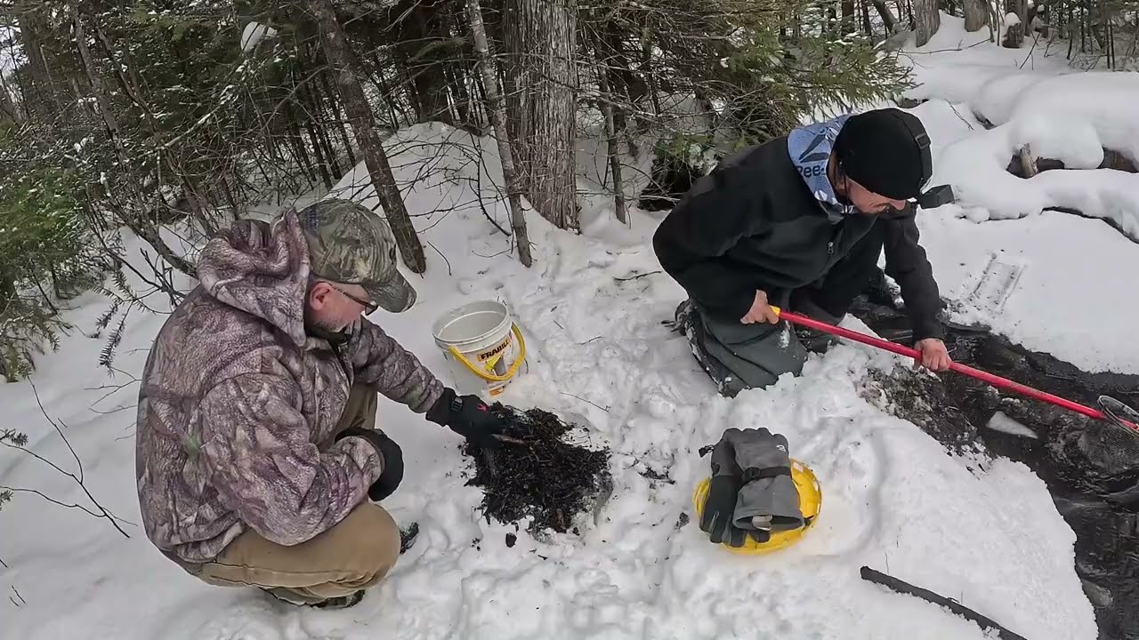 Catching Mayfly and dragon Fly Nymph.... for BAIT... #troutfishing #puremichigan #icefishing