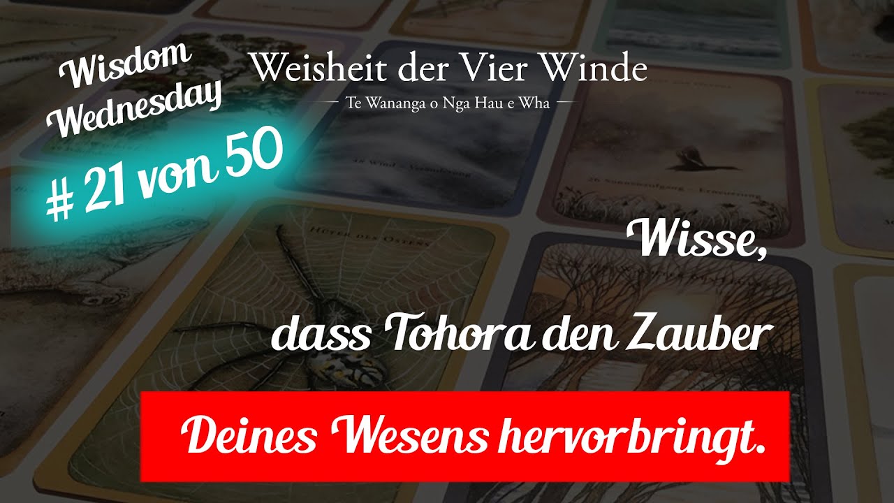 Shine your Light - #21 von 50 mit Stefan Peck