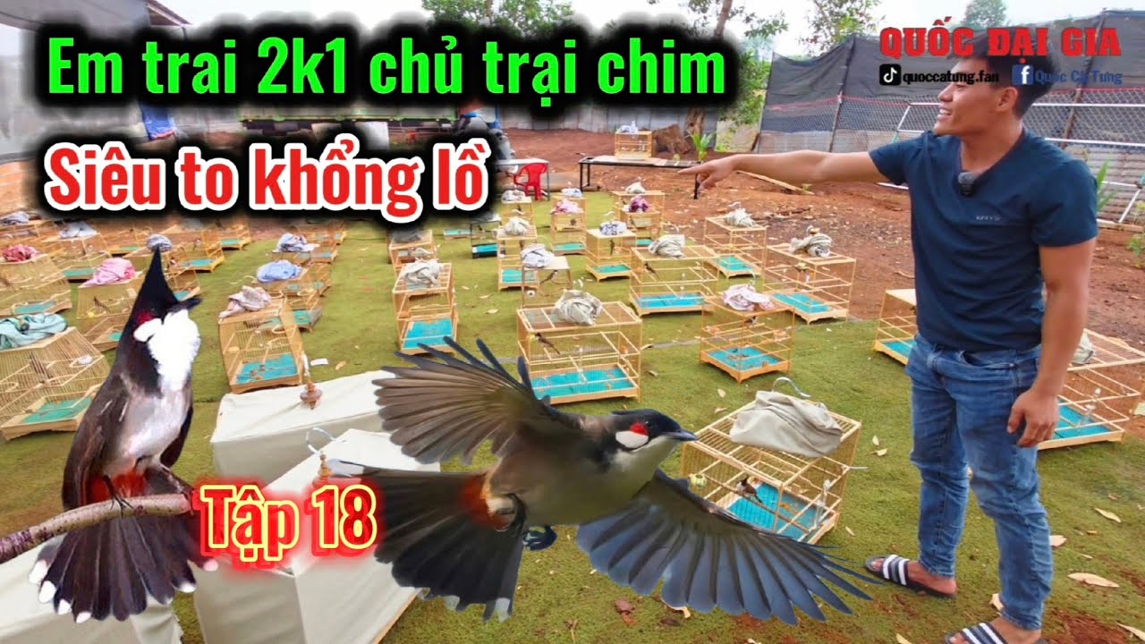 EM TRAI 2K1 CHỦ TRANG TRẠI CHÀO MÀO SIÊU TO KHỔNG LỒ GIA LAI Tập 18