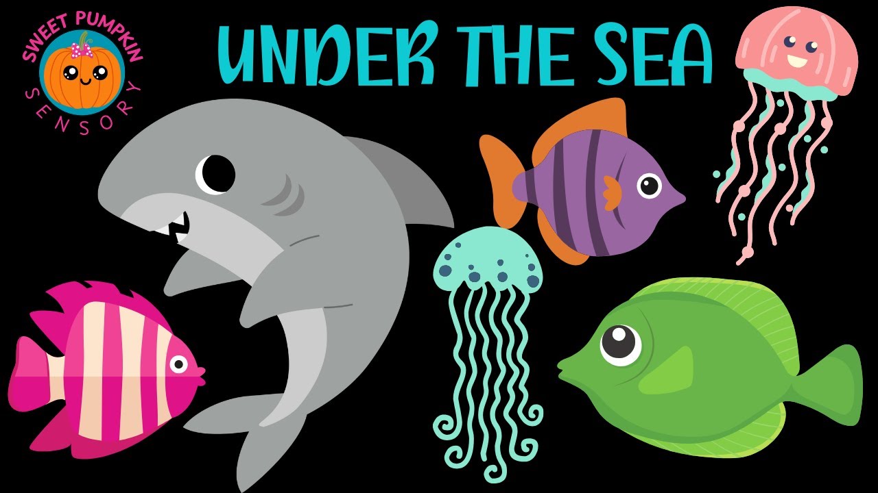 Under the Sea SOOTHING BABY SENSORY. CUTE Vibrant Video for Babies. #babysensory #momlife