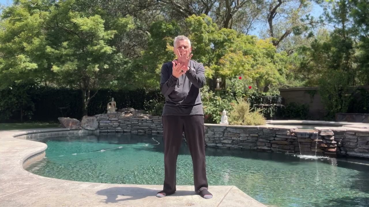 BUDDHA PALM Healing Hands EXPANDED Zen Garden Qi Gong With Qi Gong Master David@davidmitchell6972
